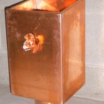 SUC50955
